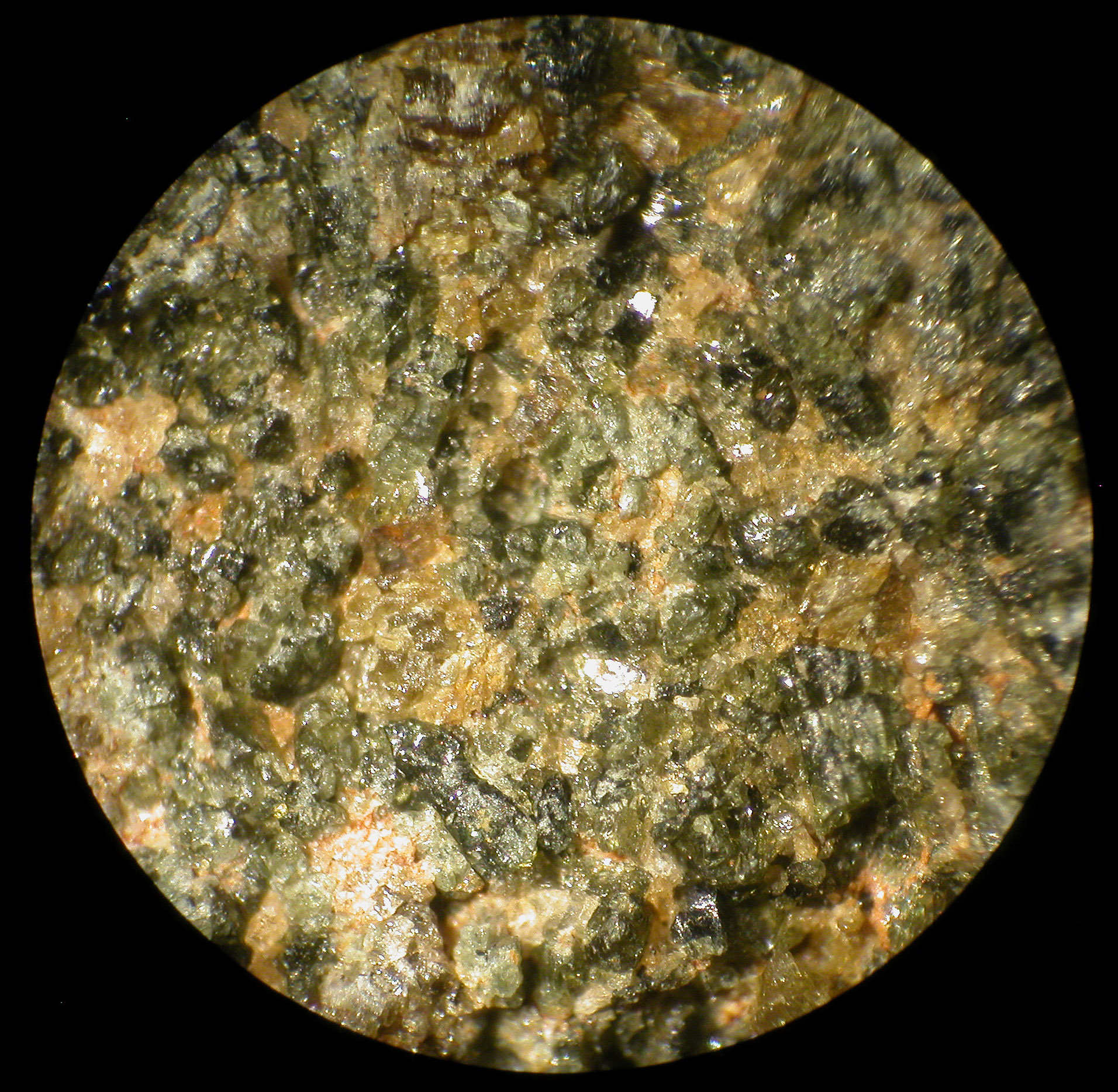Mars Meteorite Nwa 998