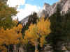 sierra2004day8i.jpg (265355 bytes)